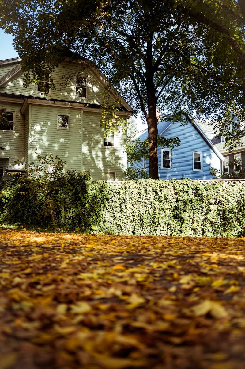 How Often Should You Clean Your Patio?