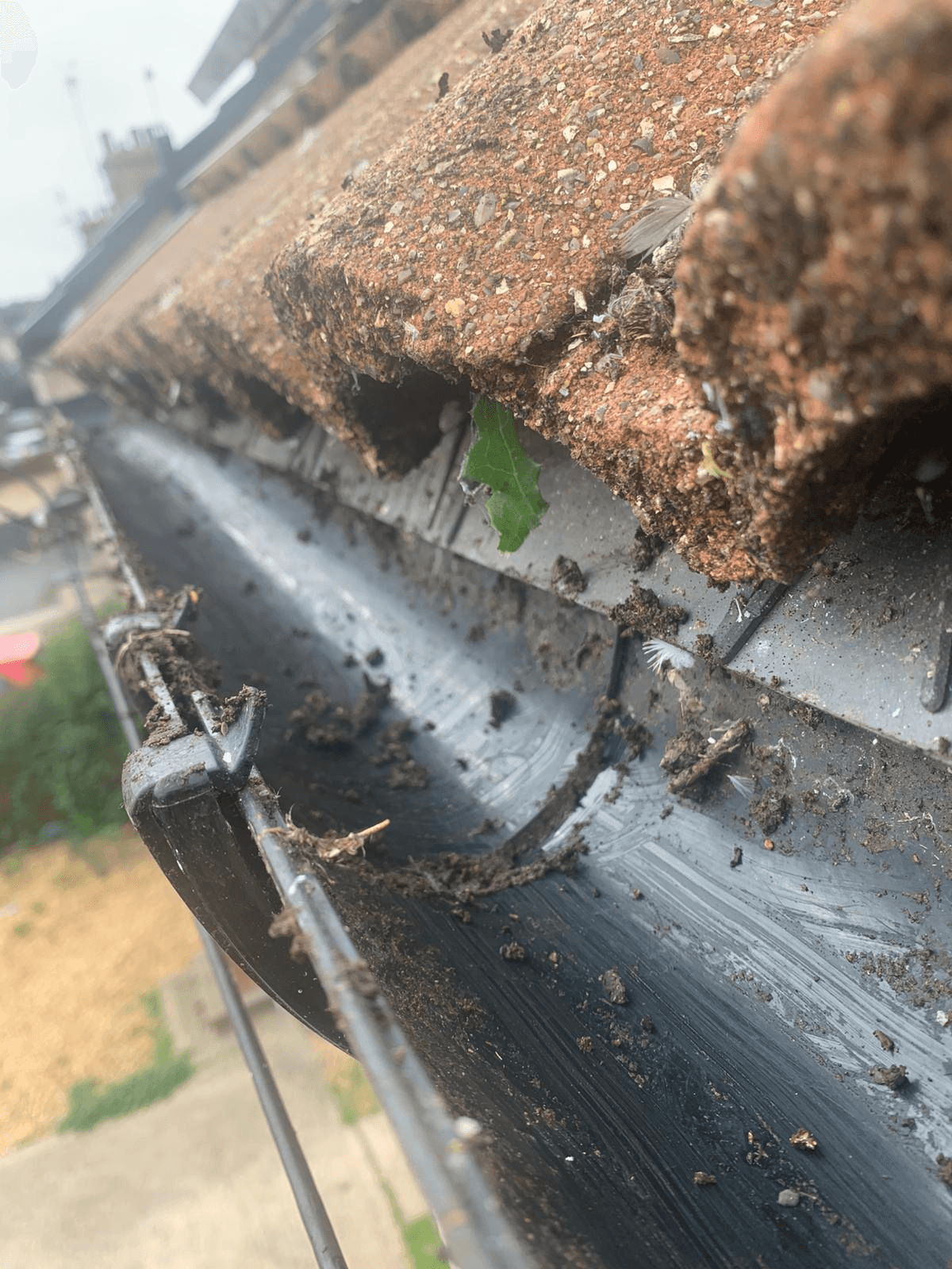 Gutter Clearing in Peterborough and the East Midlands